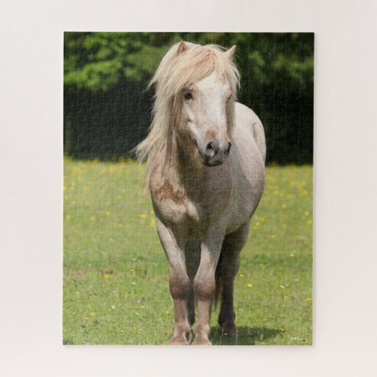 Bob Langrish | Shetland Pony Stehend Puzzle (Vertikal)