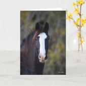 Bob Langrish | Shire Horse Headshot Karte (Gelbe Blume)