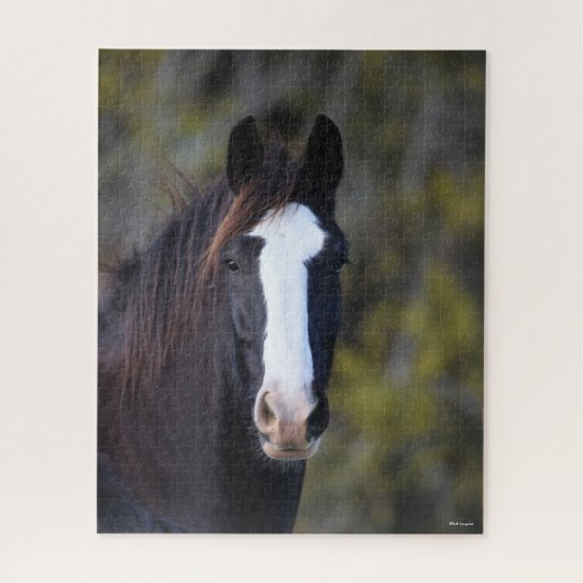 Bob Langrish | Shire Horse Headshot Puzzle (Vertikal)