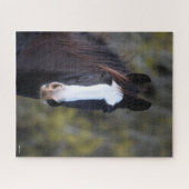 Bob Langrish | Shire Horse Headshot Puzzle (Horizontal)
