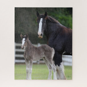 Bob Langrish Shire Horse Mare and Foal Stehend Puzzle