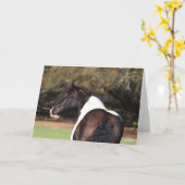 Bob Langrish | Sinti und Roma Vanner Headshot Karte (Gelbe Blume)