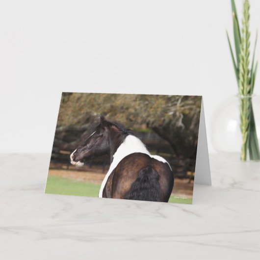 Bob Langrish | Sinti und Roma Vanner Headshot Karte (Vorderseite)