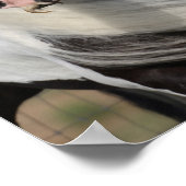 Bob Langrish | Sinti und Roma Vanner Headshot Mane Poster (Ecke)