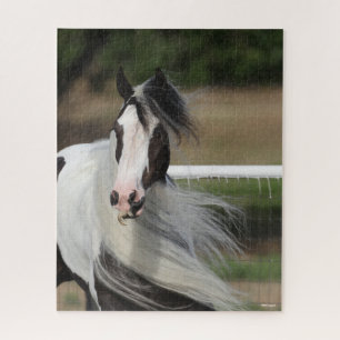 Bob Langrish Sinti und Roma Vanner Headshot Mane Puzzle