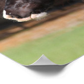 Bob Langrish | Sinti und Roma Vanner Headshot Poster (Ecke)