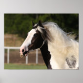 Bob Langrish | Sinti und Roma Vanner Headshot Poster (Vorne)