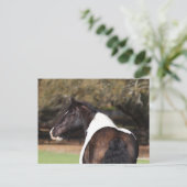 Bob Langrish | Sinti und Roma Vanner Headshot Postkarte (Stehend Vorderseite)