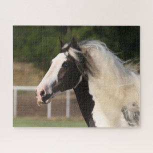 Bob Langrish Sinti und Roma Vanner Headshot Puzzle