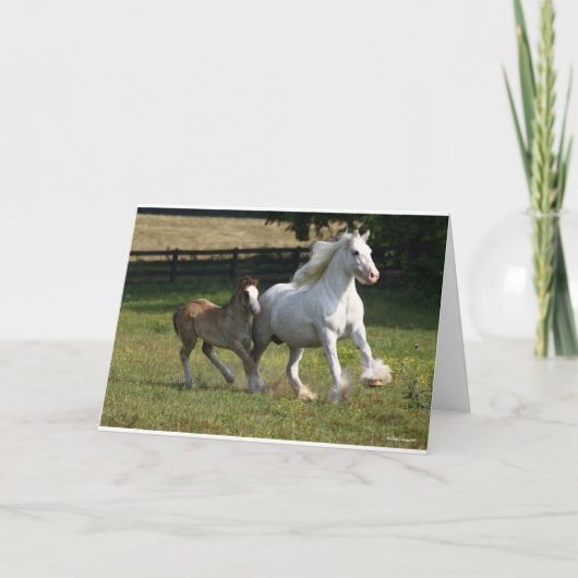 Bob Langrish | Sinti und Roma Vanner Horse Mare & Karte (Vorderseite)