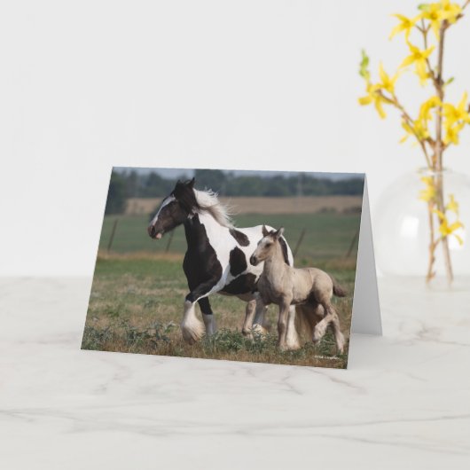 Bob Langrish | Sinti und Roma Vanner Mare and Foal Karte (Gelbe Blume)