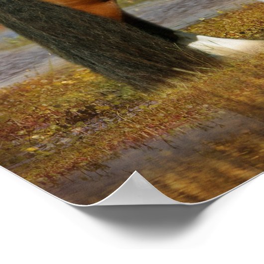 Bob Langrish | Sinti und Roma Vanner Mare and Foal Poster (Ecke)