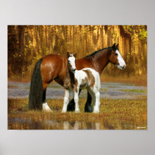 Bob Langrish   Sinti und Roma Vanner Mare and Foal Poster