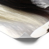 Bob Langrish | Sinti und Roma Vanner Mare and Foal Poster (Ecke)