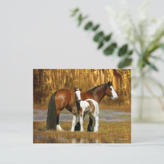 Bob Langrish | Sinti und Roma Vanner Mare and Foal Postkarte (Stehend Vorderseite)