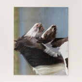 Bob Langrish | Sinti und Roma Vanner Mare and Foal Puzzle (Vertikal)