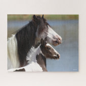 Bob Langrish | Sinti und Roma Vanner Mare and Foal Puzzle (Horizontal)