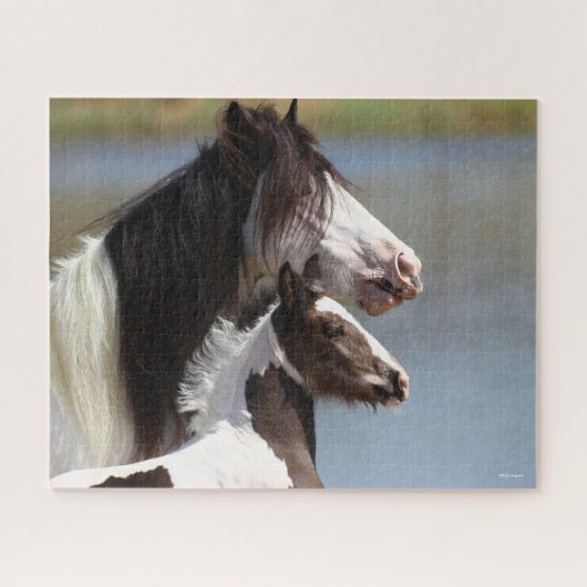 Bob Langrish | Sinti und Roma Vanner Mare and Foal Puzzle (Horizontal)