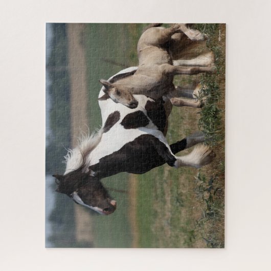 Bob Langrish | Sinti und Roma Vanner Mare and Foal Puzzle (Vertikal)