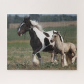 Bob Langrish | Sinti und Roma Vanner Mare and Foal Puzzle (Horizontal)