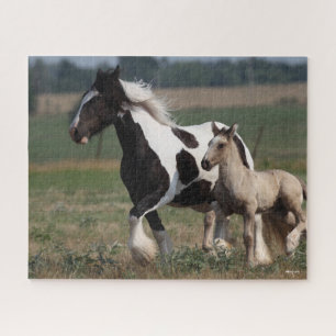 Bob Langrish   Sinti und Roma Vanner Mare and Foal Puzzle