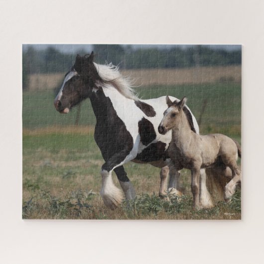 Bob Langrish | Sinti und Roma Vanner Mare and Foal Puzzle (Horizontal)