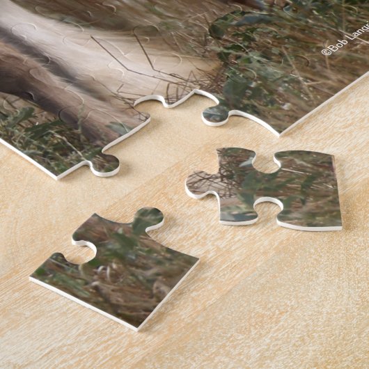 Bob Langrish | Sinti und Roma Vanner Mare and Foal Puzzle (Seite)