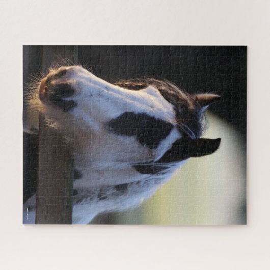 Bob Langrish | Sinti und Roma Vanner mit Blick übe Puzzle (Horizontal)