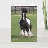 Bob Langrish | Sinti und Roma Vanner Running Karte (Vorderseite)