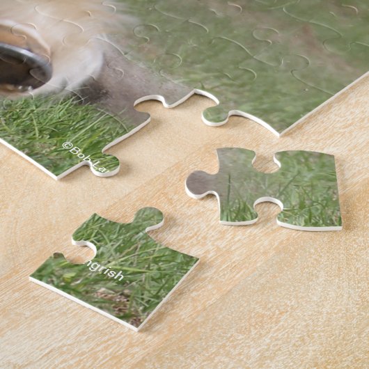 Bob Langrish | Sinti und Roma Vanner Running Puzzle (Seite)