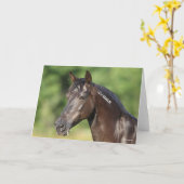 Bob Langrish | Spanish Mustang Mare Headshot Karte (Gelbe Blume)