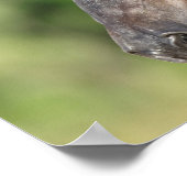 Bob Langrish | Spanish Mustang Mare Headshot Poster (Ecke)