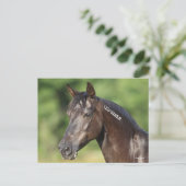 Bob Langrish | Spanish Mustang Mare Headshot Postkarte (Stehend Vorderseite)