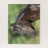 Bob Langrish | Spanish Mustang Mare Headshot Puzzle (Vertikal)