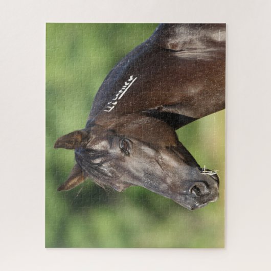 Bob Langrish | Spanish Mustang Mare Headshot Puzzle (Vertikal)