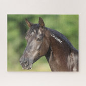 Bob Langrish | Spanish Mustang Mare Headshot Puzzle (Horizontal)
