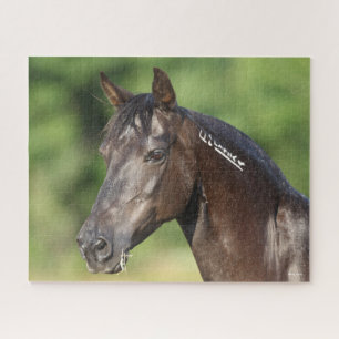 Bob Langrish   Spanish Mustang Mare Headshot Puzzle