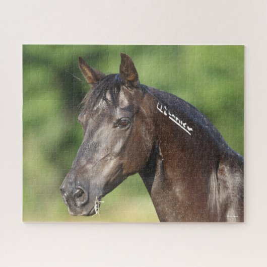 Bob Langrish | Spanish Mustang Mare Headshot Puzzle (Horizontal)