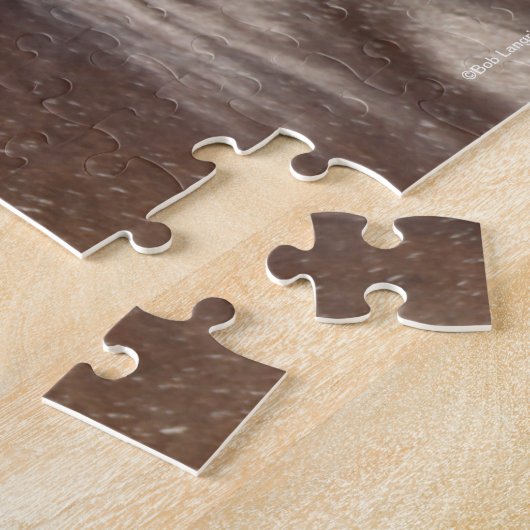 Bob Langrish | Spanish Mustang Mare Headshot Puzzle (Seite)