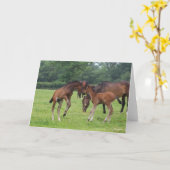 Bob Langrish | Sportpferde Karte (Gelbe Blume)