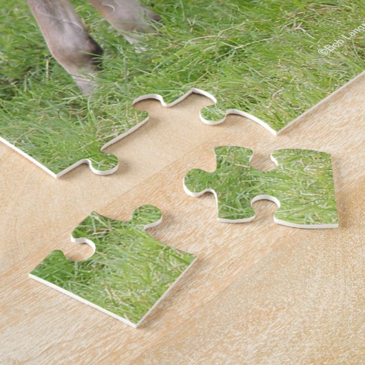 Bob Langrish | Sportpferde Puzzle (Seite)