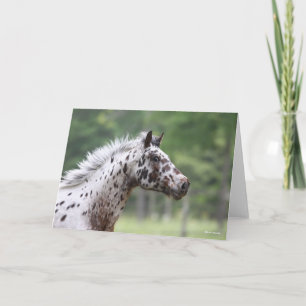 Bob Langrish   Spott Knapstrupper Headshot Karte