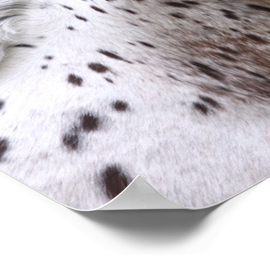 Bob Langrish | Spott Knapstrupper Headshot Poster (Ecke)