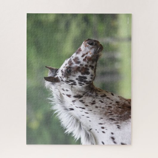 Bob Langrish | Spott Knapstrupper Headshot Puzzle (Vertikal)