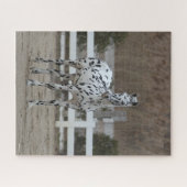 Bob Langrish | Spotty Appaloosa Friesian Stehend Puzzle (Horizontal)