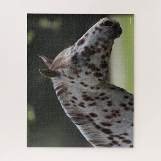 Bob Langrish | Spotty Appaloosa Headshot Puzzle (Vertikal)