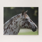 Bob Langrish | Spotty Appaloosa Headshot Puzzle (Horizontal)