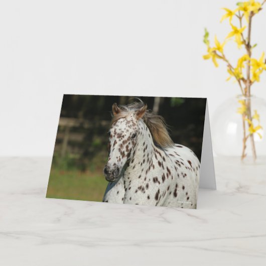 Bob Langrish | Spotty Pony America Headshot Karte (Gelbe Blume)