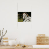 Bob Langrish | Spotty Pony America Headshot Poster (Küche)