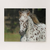 Bob Langrish | Spotty Pony America Headshot Puzzle (Horizontal)